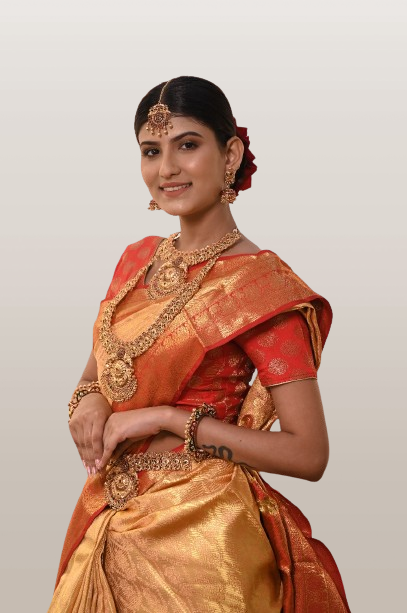 saree Shop collection